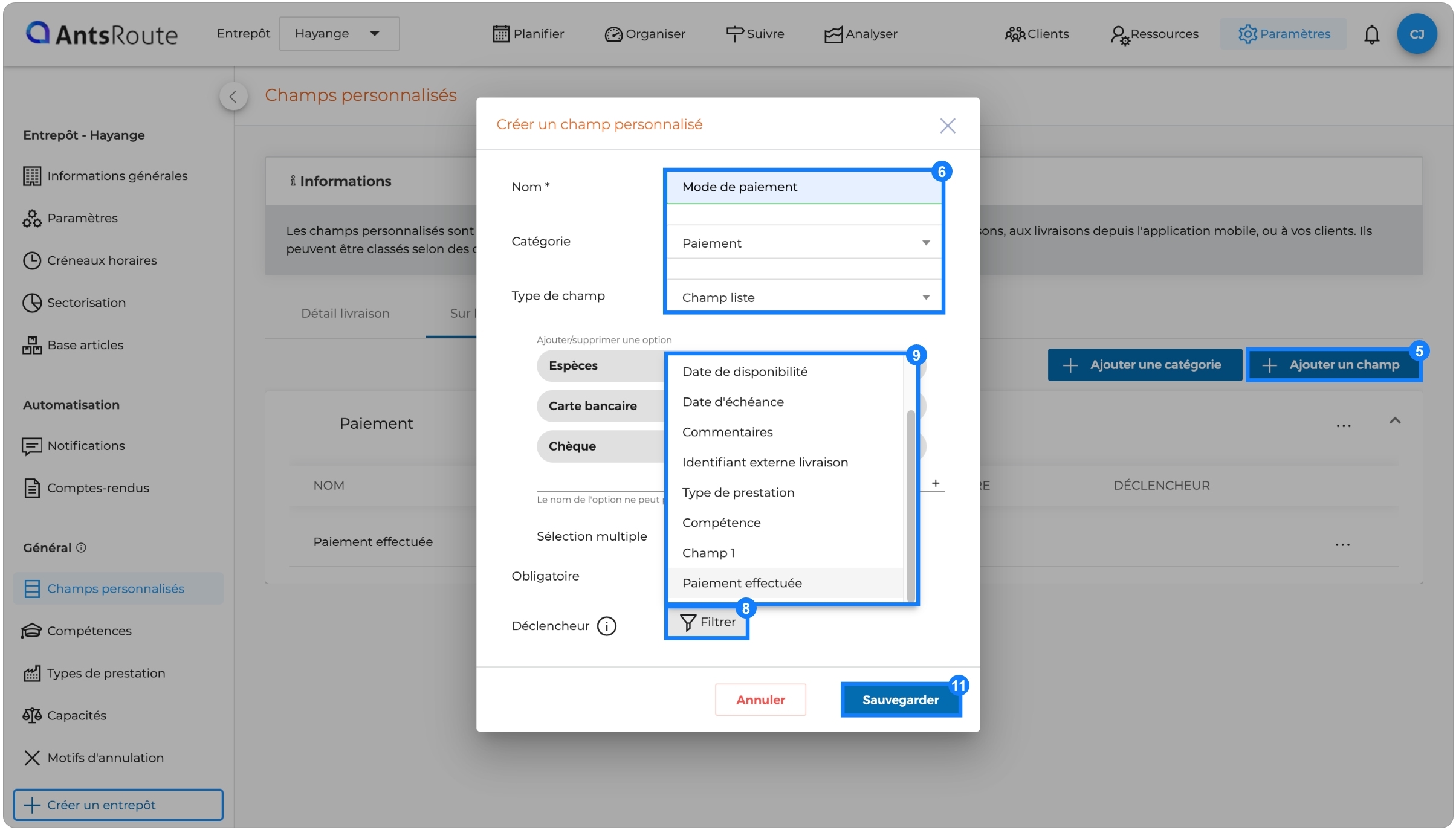 Champs-conditionnels-antsroute-2.jpg