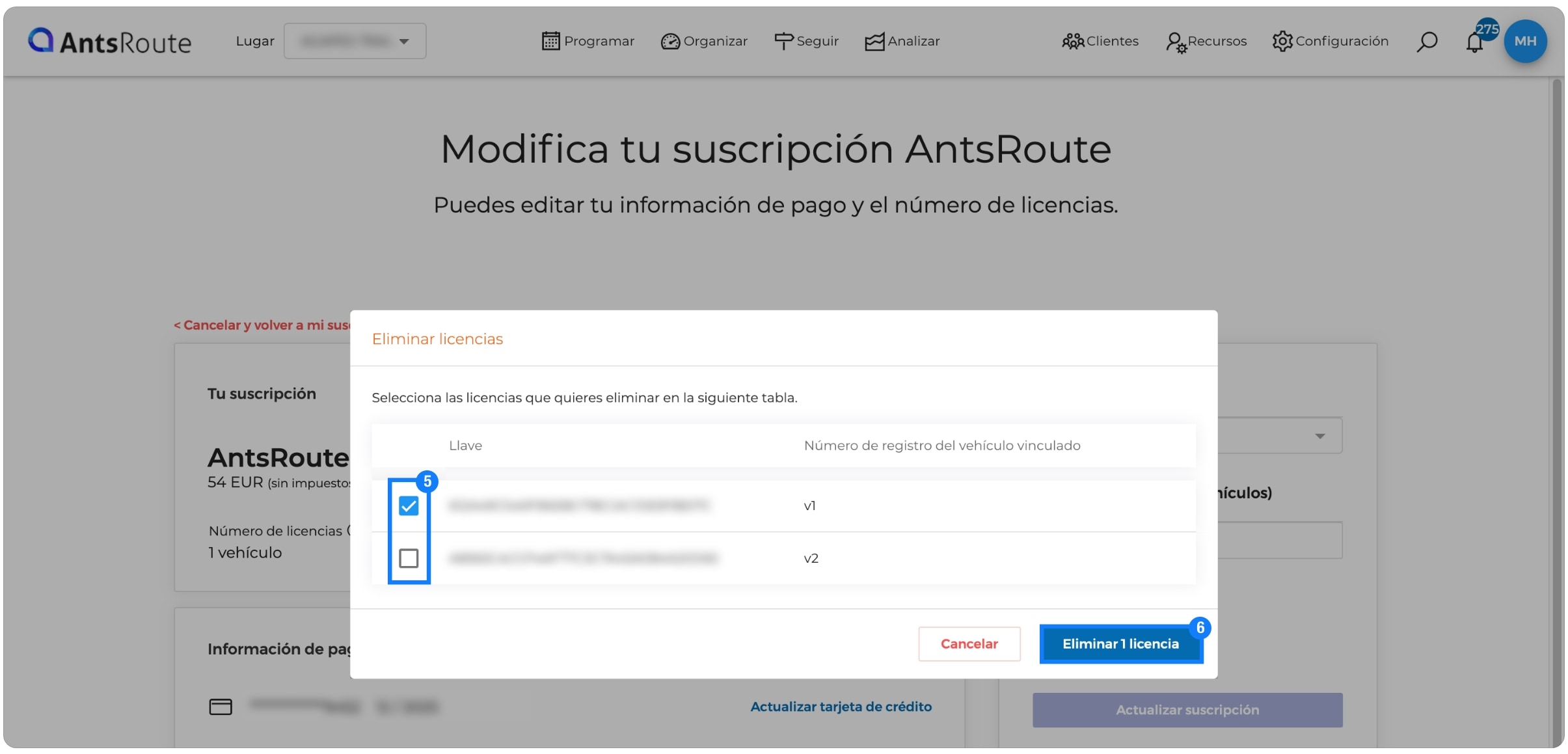 eliminar-licencias-antsroute-3.jpg
