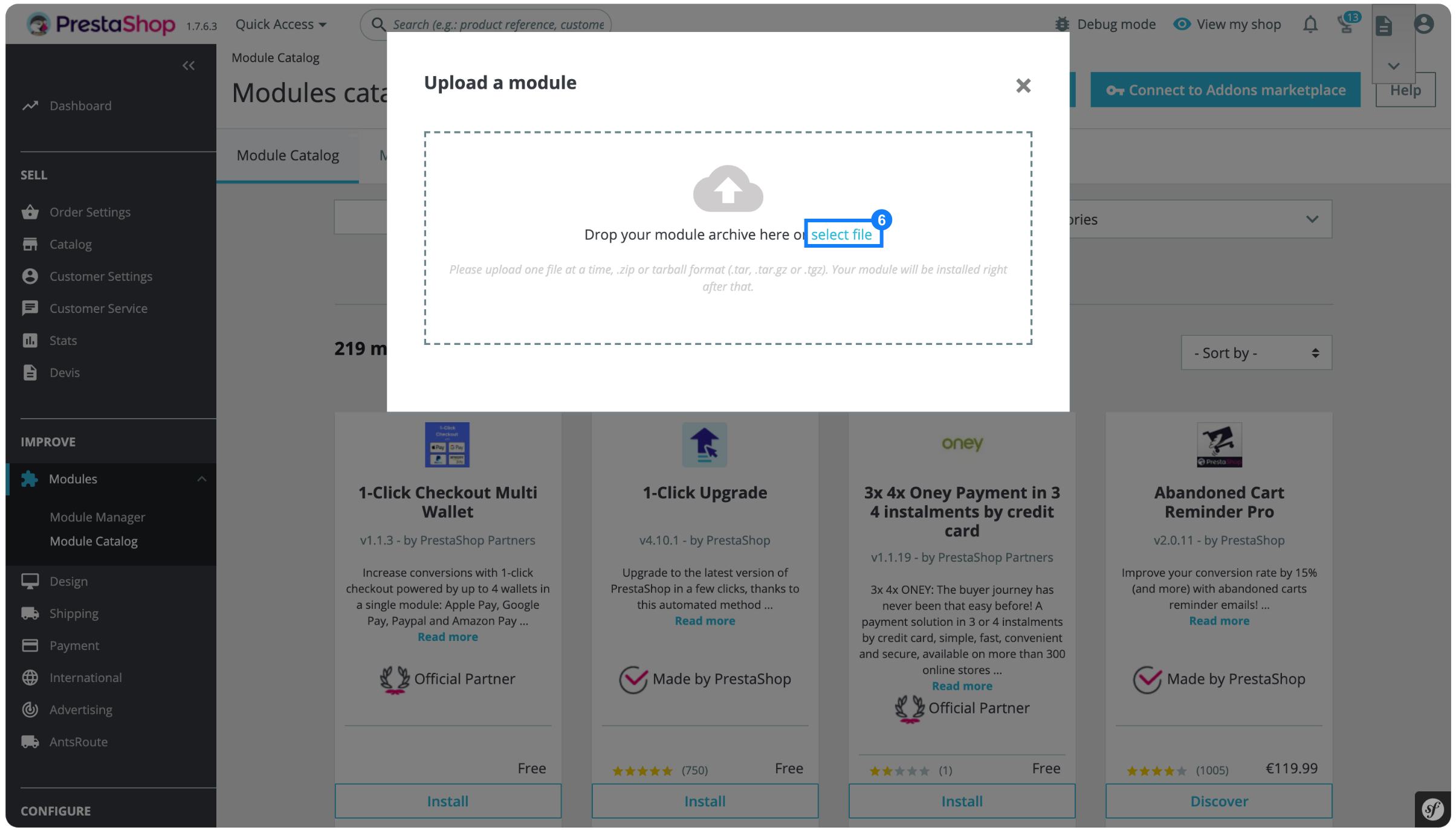 prestashop_antsroute_settings_02.png