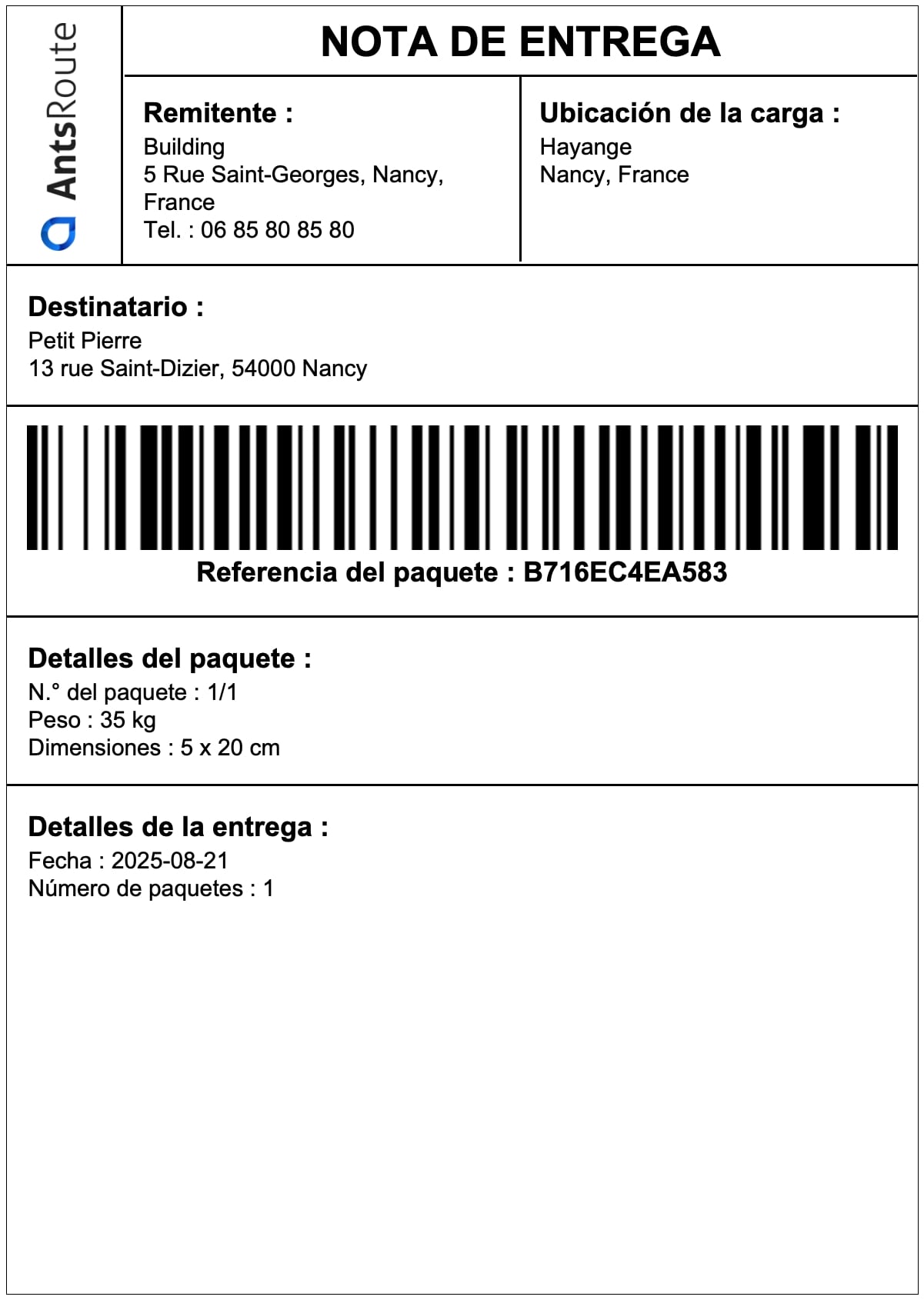 Descargar-etiquetas-paquetes-antsroute-3.jpg