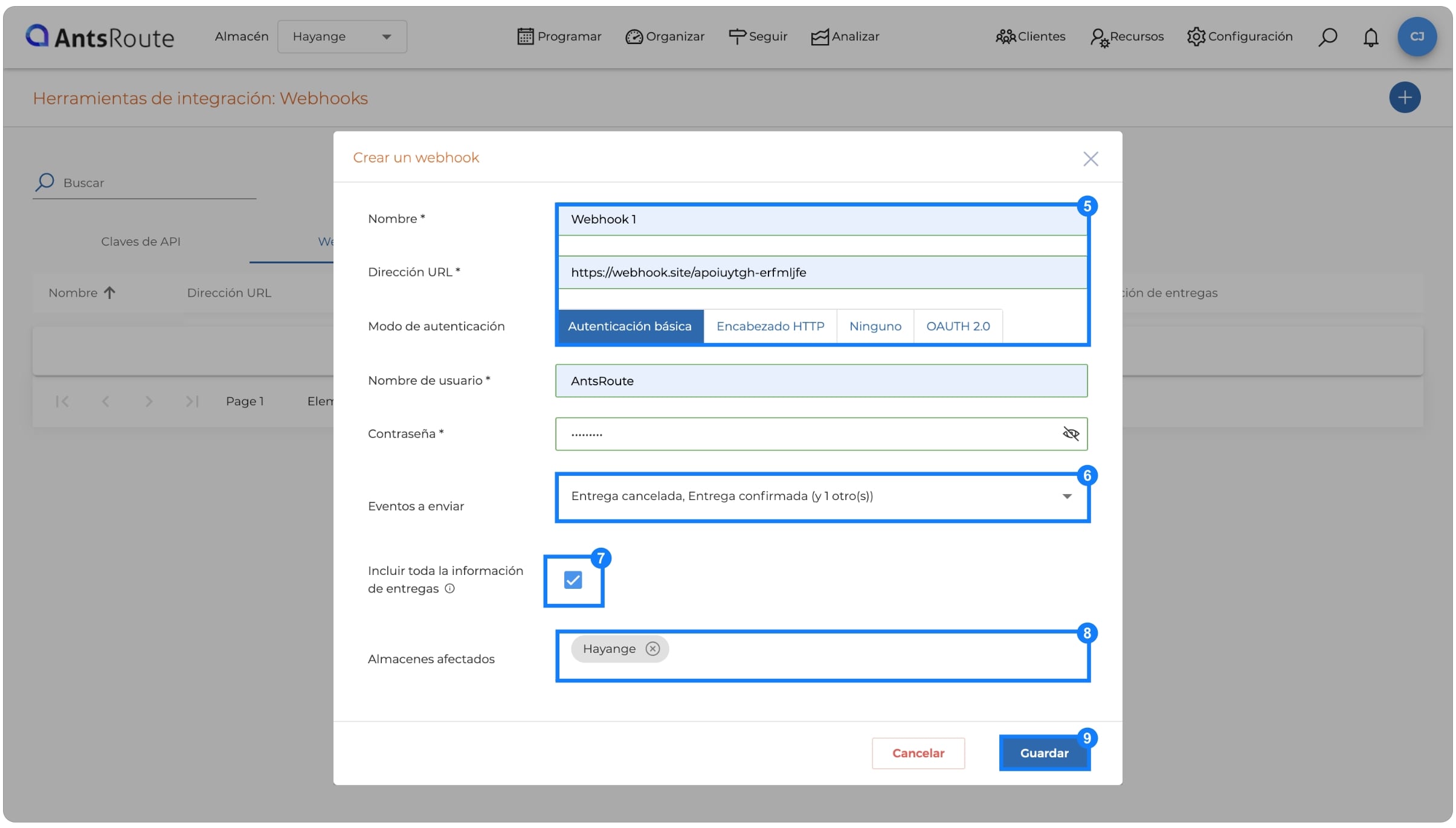 Anadir-webhooks-antsroute-2.jpg