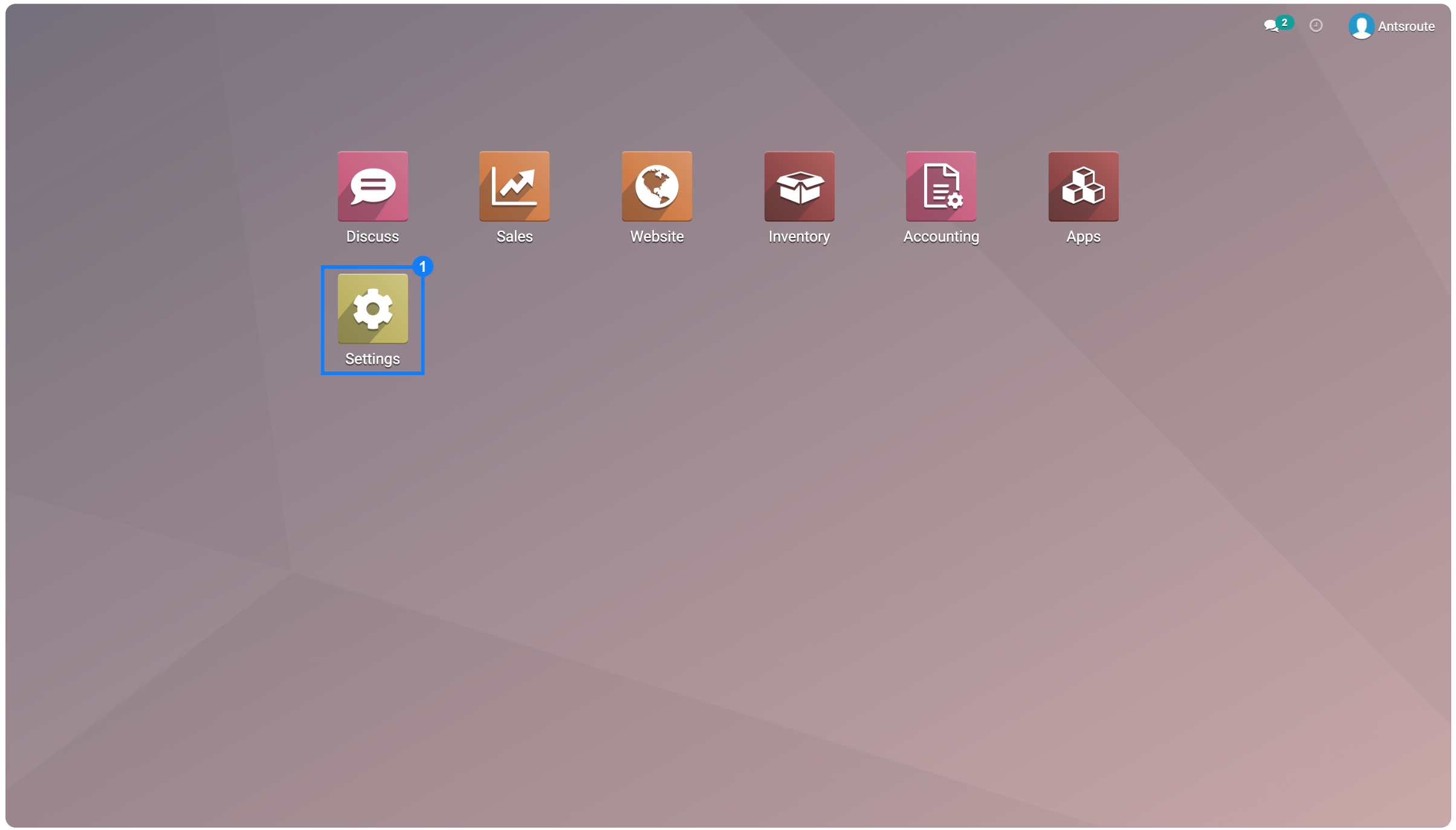 odoo_antsroute_settings_39.png