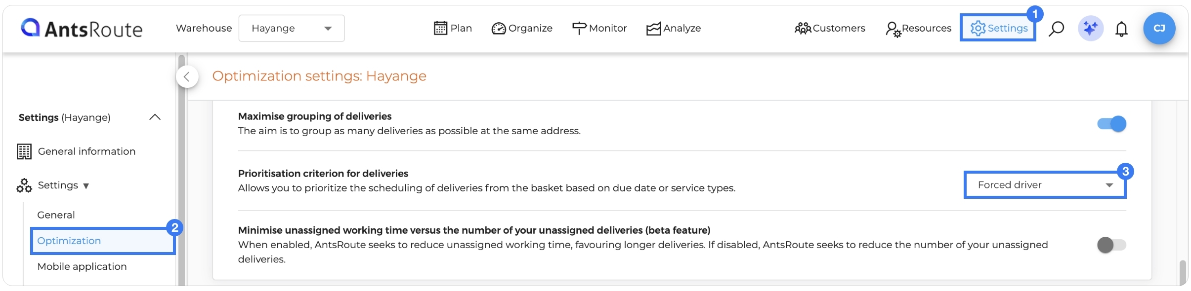Prioritisation-criterion-delivery-basket-antsroute-5.jpg
